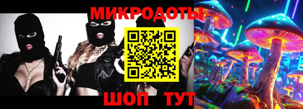 Гай  Псилоцибиновые грибы MAGIC MUSHROOMS  Вход с VPN 